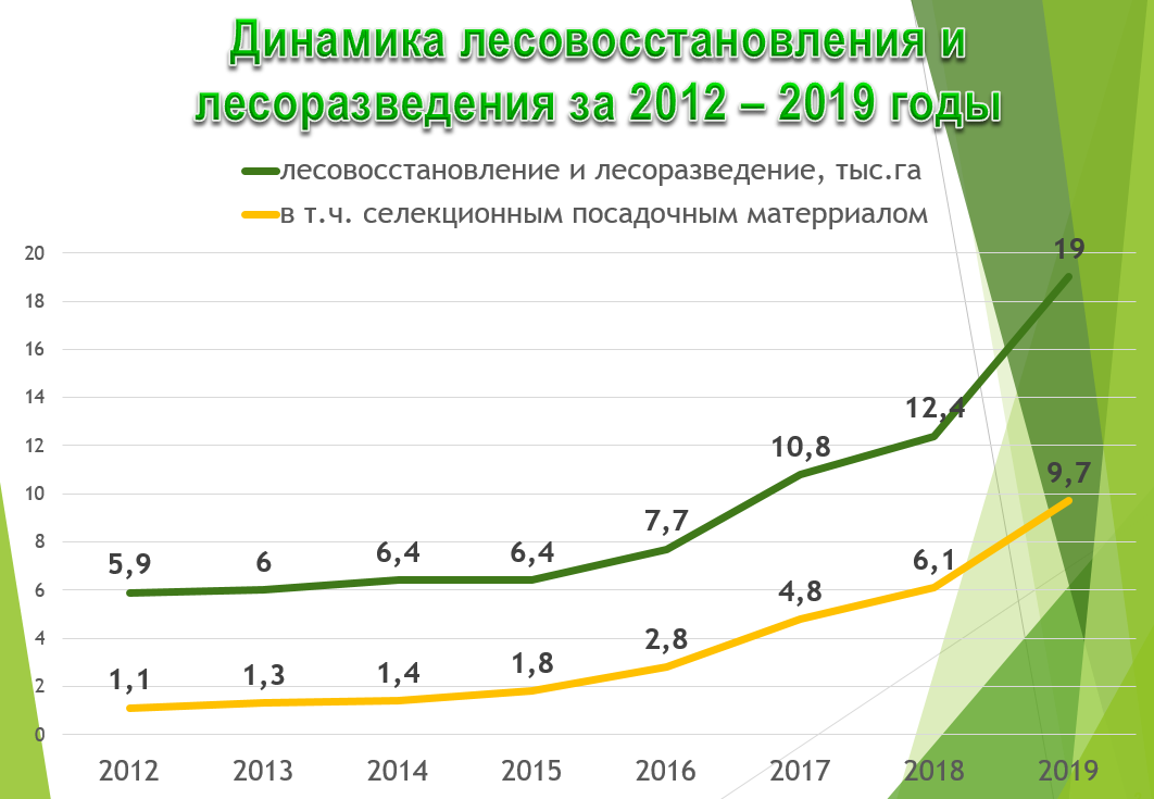 Кто занимается разработкой проектов лесовосстановления