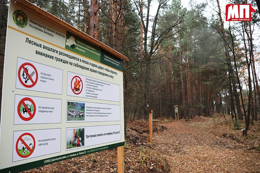 photo 2025 11 03 08 02 02