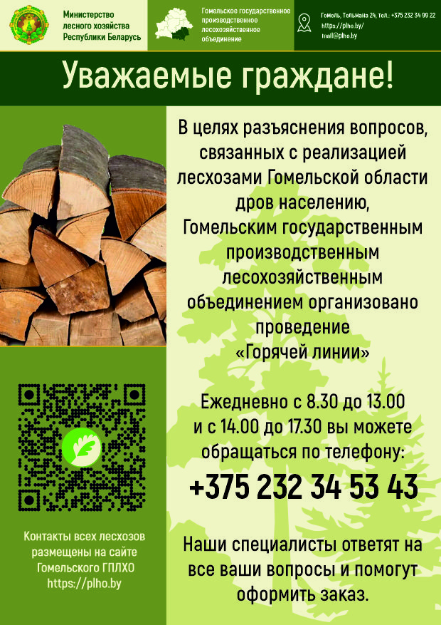 дрова_горячая_линия.jpg