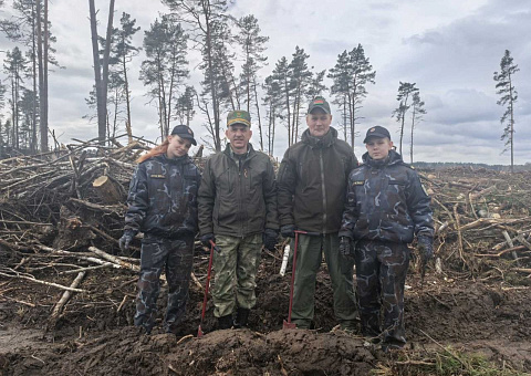 МОЛОДОМУ ЛЕСУ БЫТЬ!