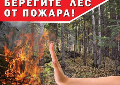 БЕРЕГИТЕ ЛЕС ОТ ПОЖАРА!
